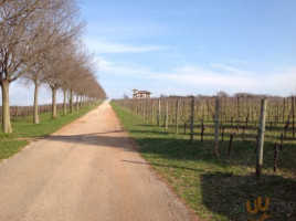 Azienda Vitivinicola Castel Vecchio inside