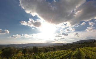 Fattoria Lavacchio Bio Winery outside