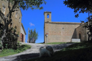 Agriturismo Colle Delle Stelle outside