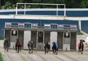 Henlow Greyhound Stadium food