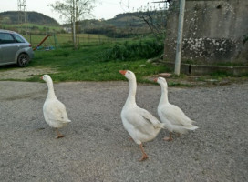 Azienda Agrituristica Grottacalda outside