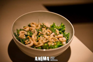 Anima food