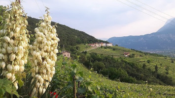 Agritur La Lanterna food