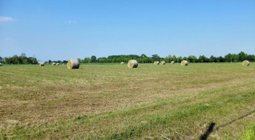 Agriturismo Le Colonie food