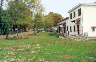 Agriturismo Falcare outside