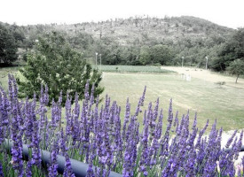 Agriturismo Valle Reale outside