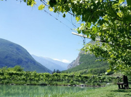 Agritur Maso Oliva outside