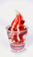 Yogurtlandia food