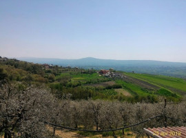 Agriturismo Antiqua Tempora outside