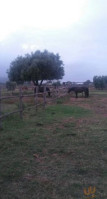 La Tenuta Agricola Dell'uccellina outside