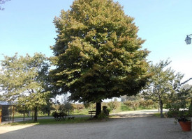 Agriturismo La Volta Delle Rondini outside