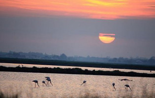 Locanda La Dama Delle Saline food