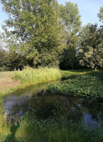 Tenuta Limido food