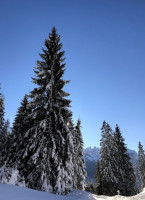 Rifugio Lagazzon food