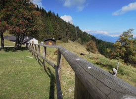 Malga Masi outside