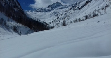 La Tana Della Marmotta food