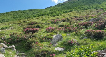 Rifugio Alpino Maddalene inside