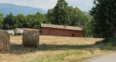 Il Vecchio Moro Agriturismo food