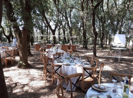 Tenuta Tresca food