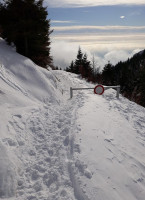 Rifugio Ardosetta food