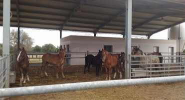 Masseria Palmento outside