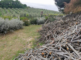 Agriturismo Le Macine food