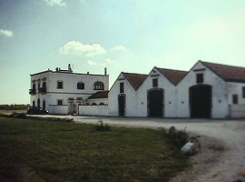 Masseria Torre Abbondanza food