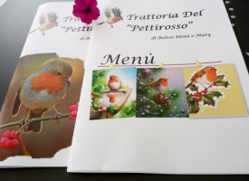 Pettirosso food