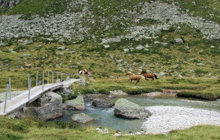 Rifugio Baita Adamè outside