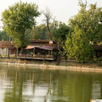 Urbino Dei Laghi food