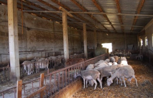 Agriturismo La Pretula San Giacomo Di Atri Abruzzo Te food