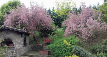 Fattoria Il Cotto outside