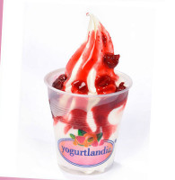 Yogurtlandia food