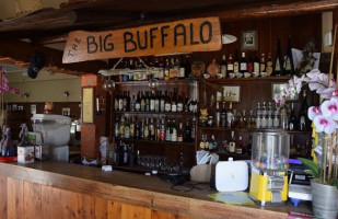 Big Buffalo food