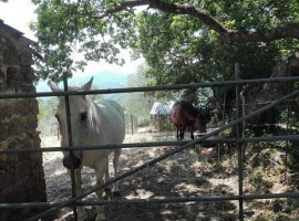 La Caballera food