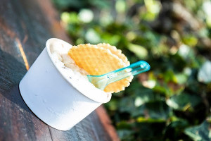 Fiocco Di Neve Gelato Artigianale E Prodotti Di Capra Km Zero food