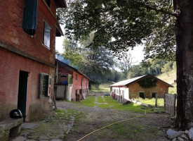 La Pratolina Azienda Agricola food