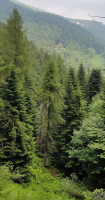 Rifugio Bertorello outside