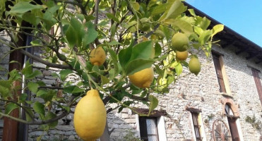 Agriturismo Case Romane food