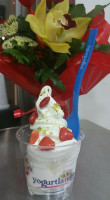 Yogurtlandia Floridia food