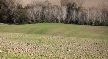 Fattoria Della Bontà outside