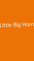 Little Big Horn inside