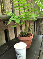 The Treehouse At The Alnwick Garden food