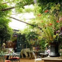 Petersham Nurseries Café food