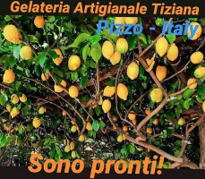 Gelateria Artigianale Tiziana food