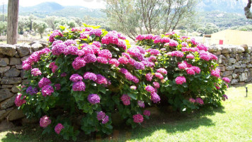 Tenute Sasima Sardegna outside