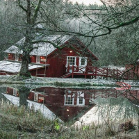 Knystaforsen food