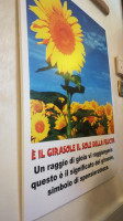 Girasole food