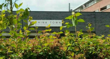 Chinees Indisch 'china-town' Drachten food