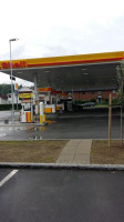 Shell outside